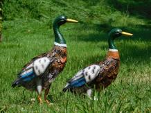 Set of 2 Ducks - Metal - Colourful Decoration