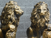 Set van 2 Leeuwen - Zwart/Goud - Polystone