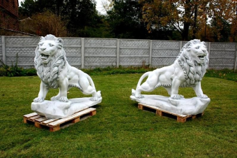 XXL Lion Set - 185 x 150 cm - Left and Right - Solid Stone