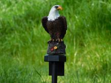 Garden Stick Adler - Polystone mit Solarbeleuchtung