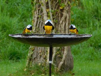 Vogelbad met 3 Gele Vogeltjes  - Tuinsteker - Metaal