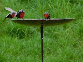 One-off: Bird feeder - bath - 3 Birds Red Black - Handmade