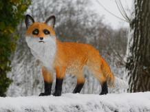 Fox - Polystone - Full colour - Detailed