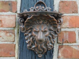 Wall console Lion's head - Brown - Cast iron