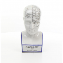 A porcelain phrenology head in blue coloring