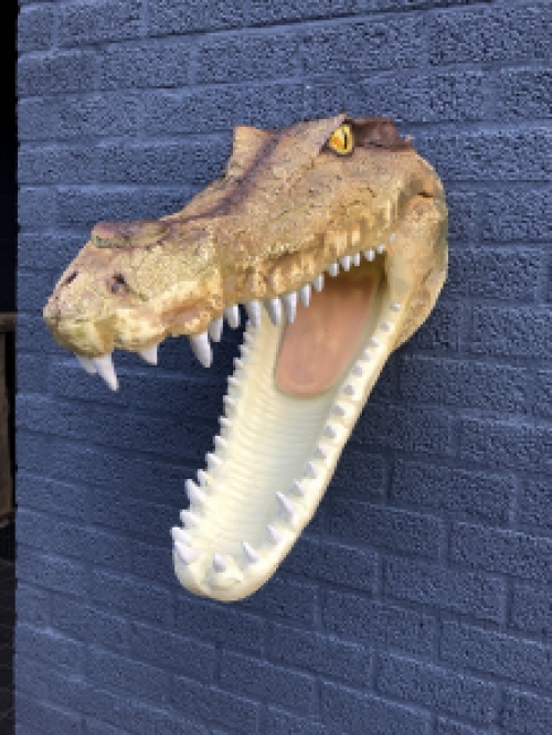 Lifelike crocodile head with open mouth, very nice design!