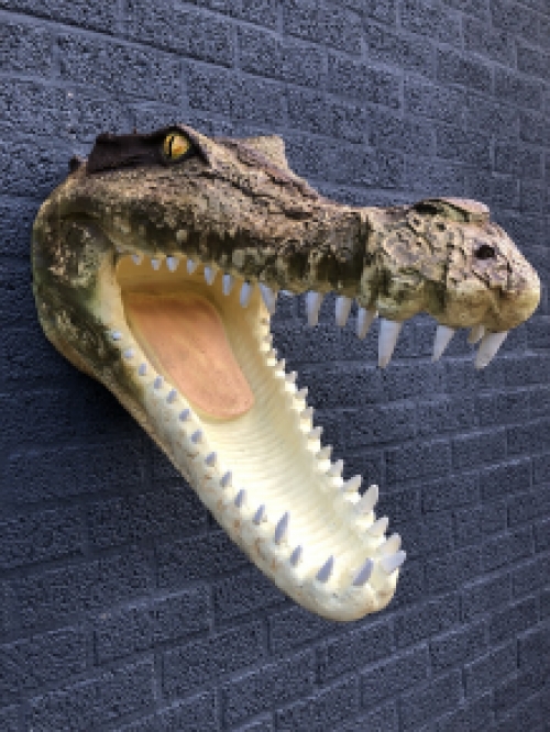 Lifelike crocodile head with open mouth, very nice design!