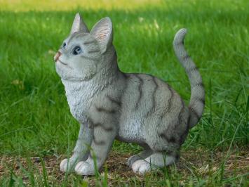 Gray kitty - polystone