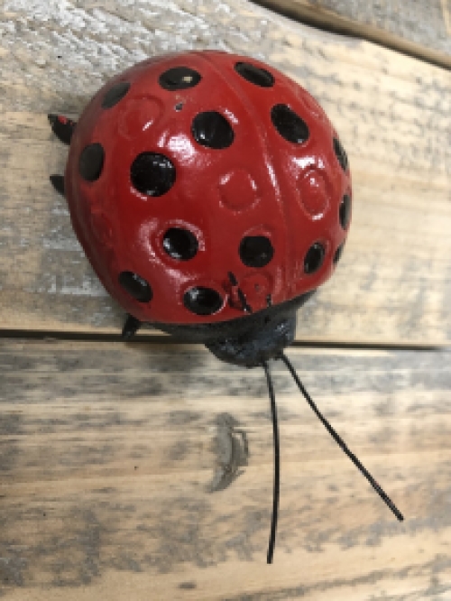 Ladybird - Cast iron - In Colour
