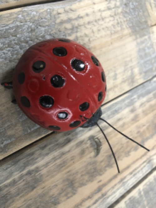 Ladybird - Cast iron - In Colour