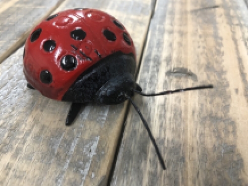 Marienkäfer - Gusseisen - In Farbe