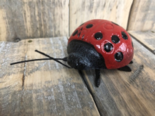 Ladybird - Cast iron - In Colour