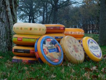 Decorative Cheese Wheels - 2 pieces - Ø 35 cm - Various Types