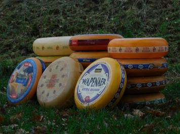 Decorative Cheese Wheels - 2 pieces - Ø 35 cm - Various Types