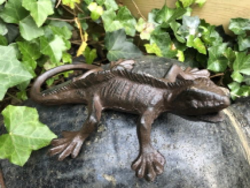 Lizard - Gecko - Cast iron - Brown