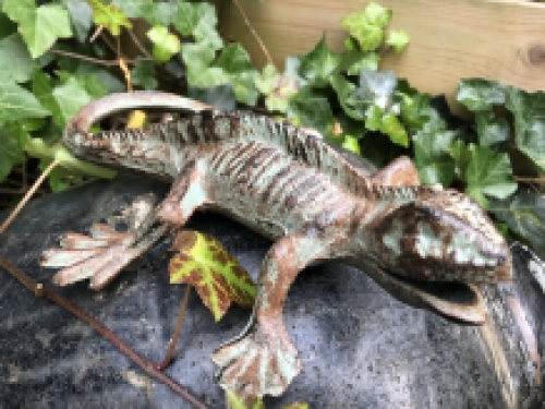 Lizard - Gecko - Cast iron - Green/Brown