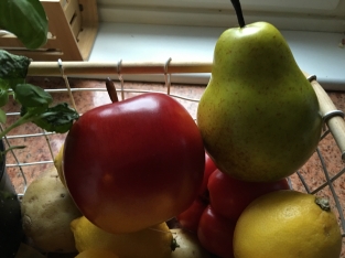 Beautifully real-looking apple and pear, see the photos!!