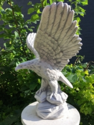 Eagle full of stone, beautiful statue.