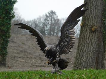 Adler - Bronze - Polystone- Nur Abholung!!