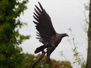 Bronze Eagle on Marble Base - 51 cm - Sculpture