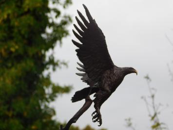 Bronze Eagle on Marble Base - 51 cm - Sculpture