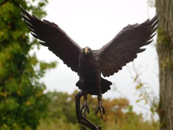 Bronze Eagle on Marble Base - 51 cm - Sculpture