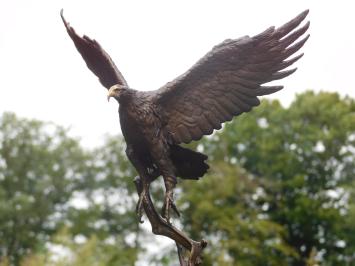 Bronzen Adelaar op Marmeren voet - 51 cm - Sculptuur