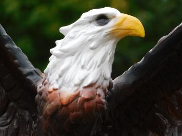 Adler mit ausgebreiteten Flügeln – 55 cm – Polystone