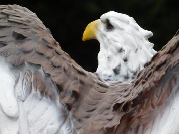 Adler mit ausgebreiteten Flügeln – 55 cm – Polystone