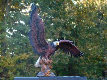Weißkopfseeadler - 40 x 50 cm - Polystone