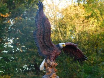 Weißkopfseeadler - 40 x 50 cm - Polystone