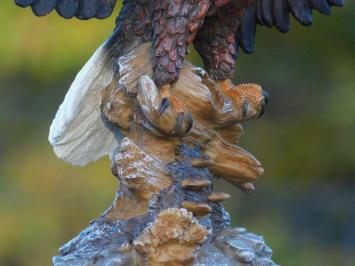 Weißkopfseeadler - 40 x 50 cm - Polystone