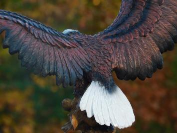 Weißkopfseeadler - 40 x 50 cm - Polystone