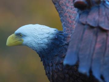 Weißkopfseeadler - 40 x 50 cm - Polystone