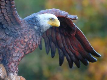Weißkopfseeadler - 40 x 50 cm - Polystone