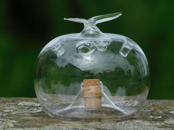 Apple as Fruit Fly Trap - Glass - Apple shape