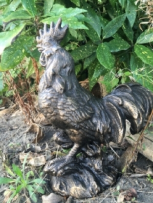 Statue Rooster - Bronze - Metal