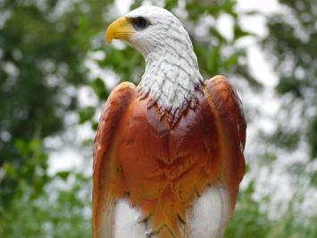 Dekorativer Adler, braun – 50 cm – Polystone
