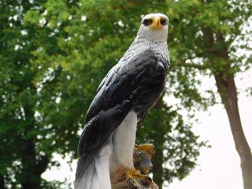 Dekorativer Adler – 50 cm – Polystone
