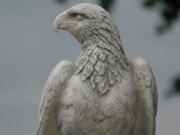 Eagle Garden Statue - 50 cm - Stone Animal Statue
