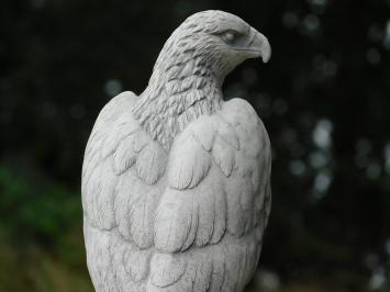 Eagle Garden Statue - 50 cm - Stone Animal Statue