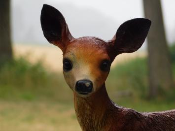 Baby Deer Sculpture – 48 x 38 cm – Polystone