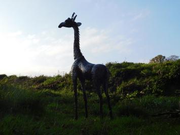 Giraffe XL - made entirely of metal - unique object