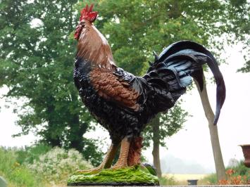 Decorative Rooster – 50 x 45 cm – Black and Brown – Polystone
