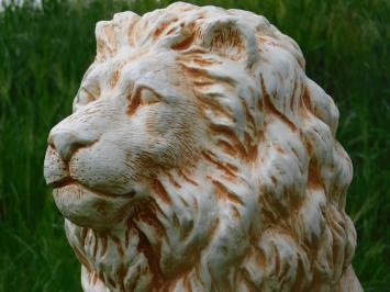 Beeld Leeuw XL - 67 cm - Polystone