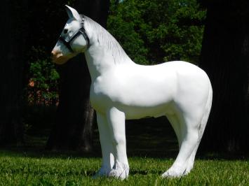 Horse Sculpture - 75 x 70 cm - White - Polystone