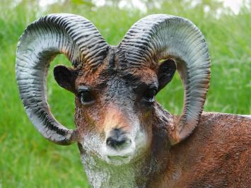 Beeld Ram - 65 cm - Polystone