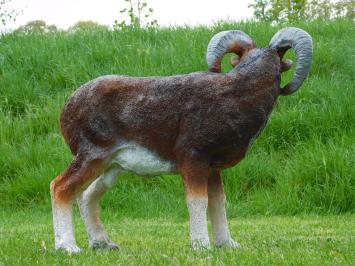 Beeld Ram - 65 cm - Polystone