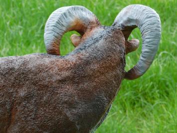 Beeld Ram - 65 cm - Polystone