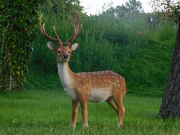 Statue Hirsch XL | Polystone | Sikahert | Ganz in Farbe